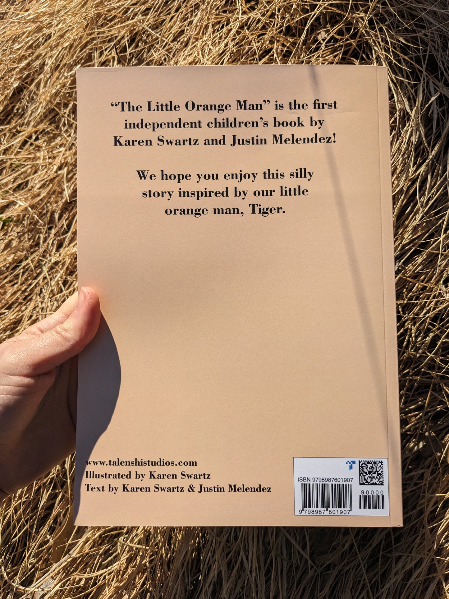 The Little Orange Man, Children's Book