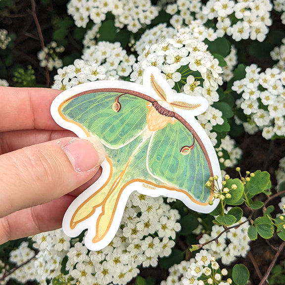 2.25" - 3" Luna Moth Waterproof Vinyl Sticker