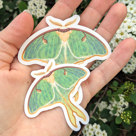 2.25" - 3" Luna Moth Waterproof Vinyl Sticker