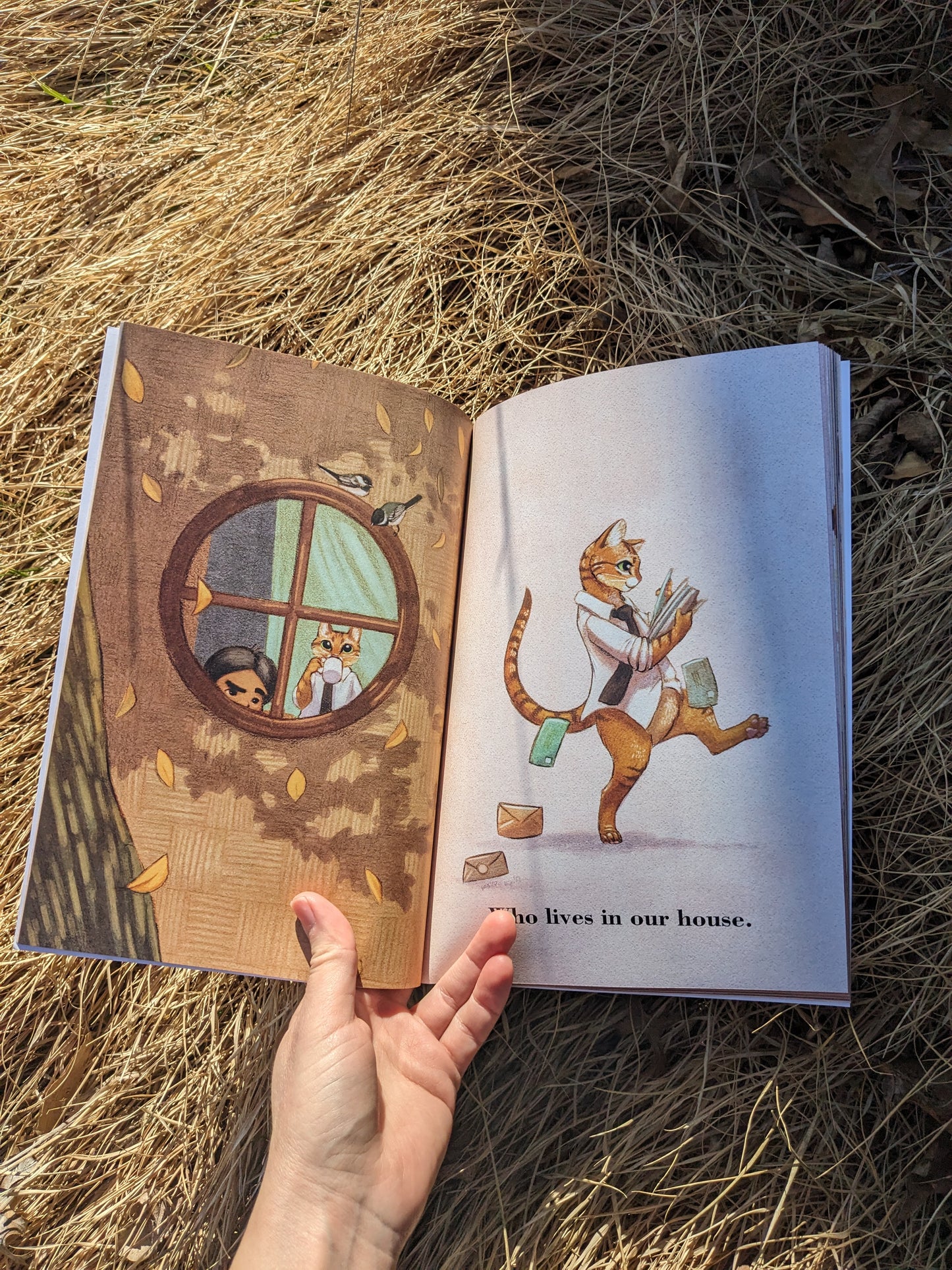 The Little Orange Man, Children's Book