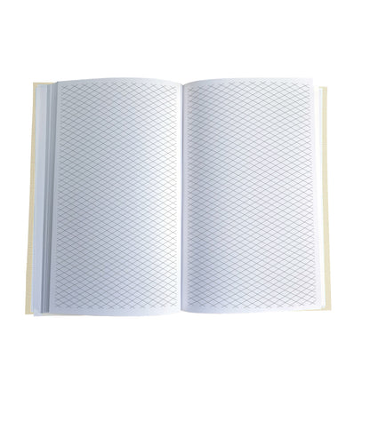 Isometric Grid Magnetic Journal Refill (2 sizes)